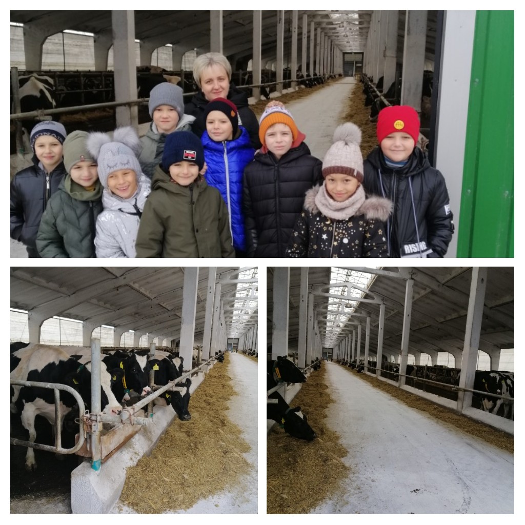 Учні початкової школи відвідали фермерське господарство «Юпітер» у Харківській області